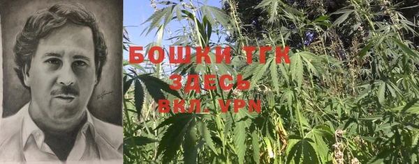 ГАЛЛЮЦИНОГЕННЫЕ ГРИБЫ Балахна