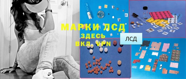 ГАЛЛЮЦИНОГЕННЫЕ ГРИБЫ Балахна